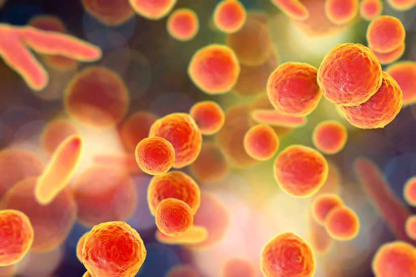 Nova EP 2.6.7 regulativa: Što se mijenja u detekciji mikoplazme i kako ostati usklađen? - Sartorius Croatia