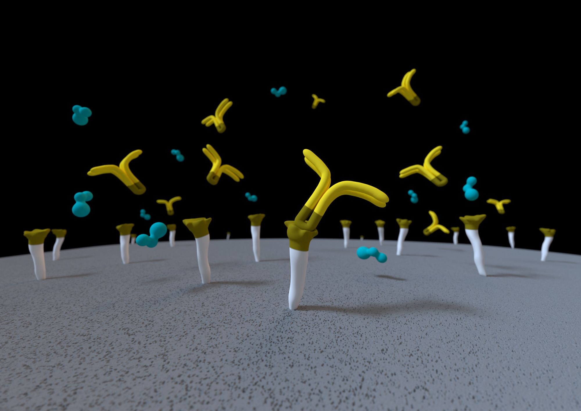 Monoliti za hidrofobnu interakcijsku kromatografiju (HIC) - Sartorius Croatia