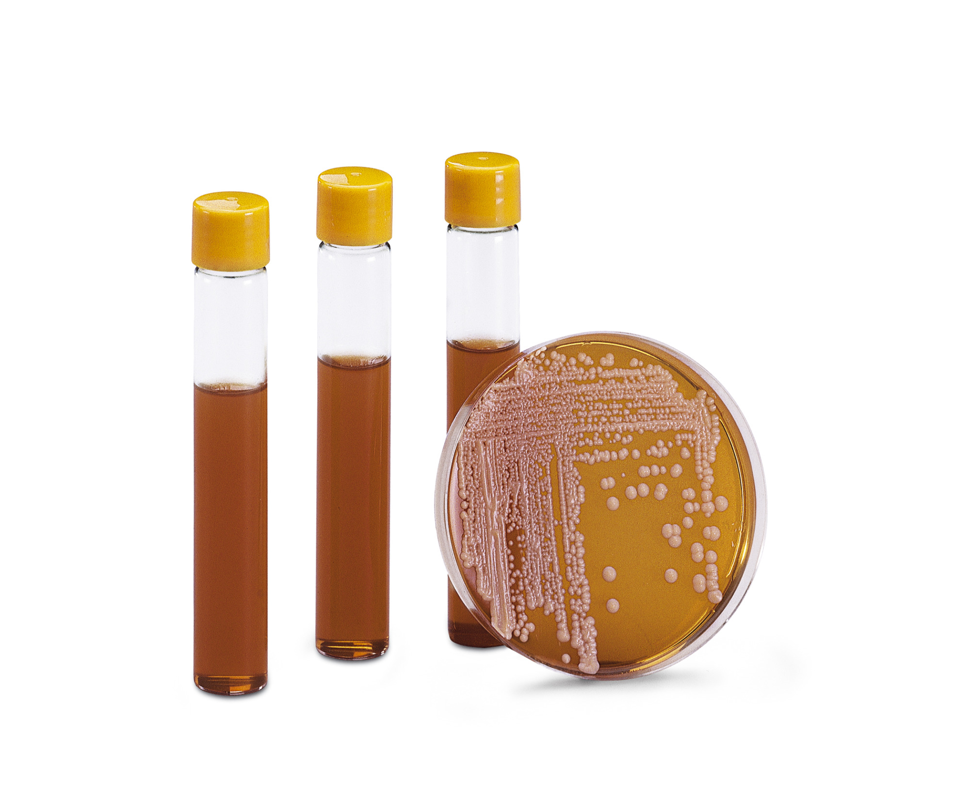 Culture Media - Sartorius Croatia